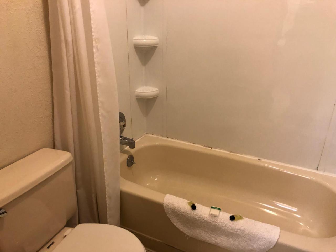 توك The Golden Bear Motel المظهر الخارجي الصورة
