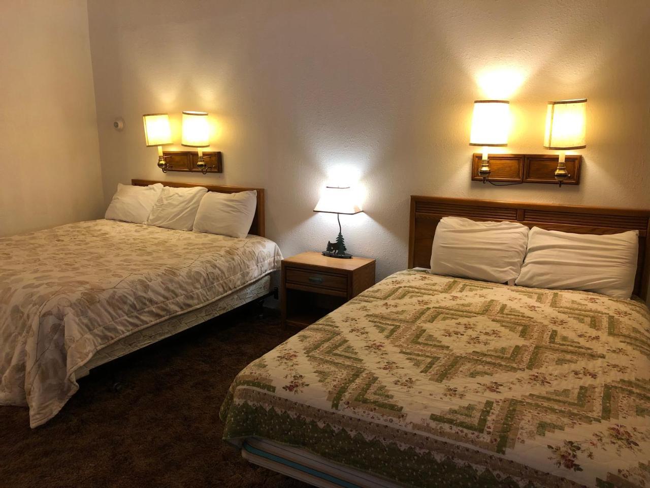 توك The Golden Bear Motel المظهر الخارجي الصورة